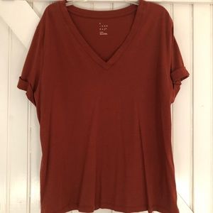 Large V-neck  top